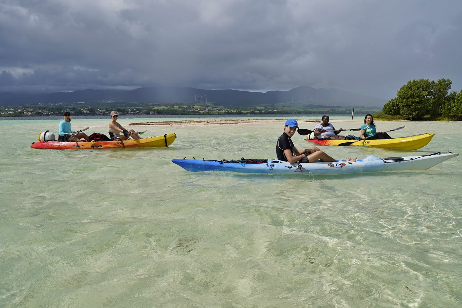 Cétacés et faune marine de Guadeloupe, voyage scientifique. Kayak dans la Mangrove © Tamtampagaie