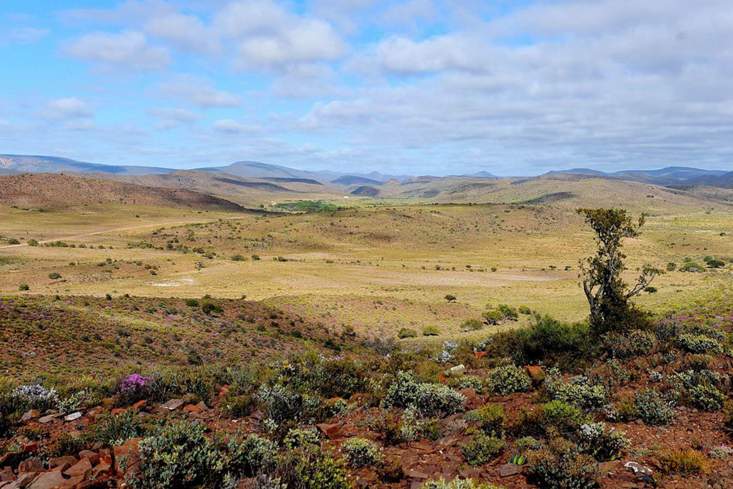 Mégafaune et écosystème du Cap, voyage naturaliste, Paysages