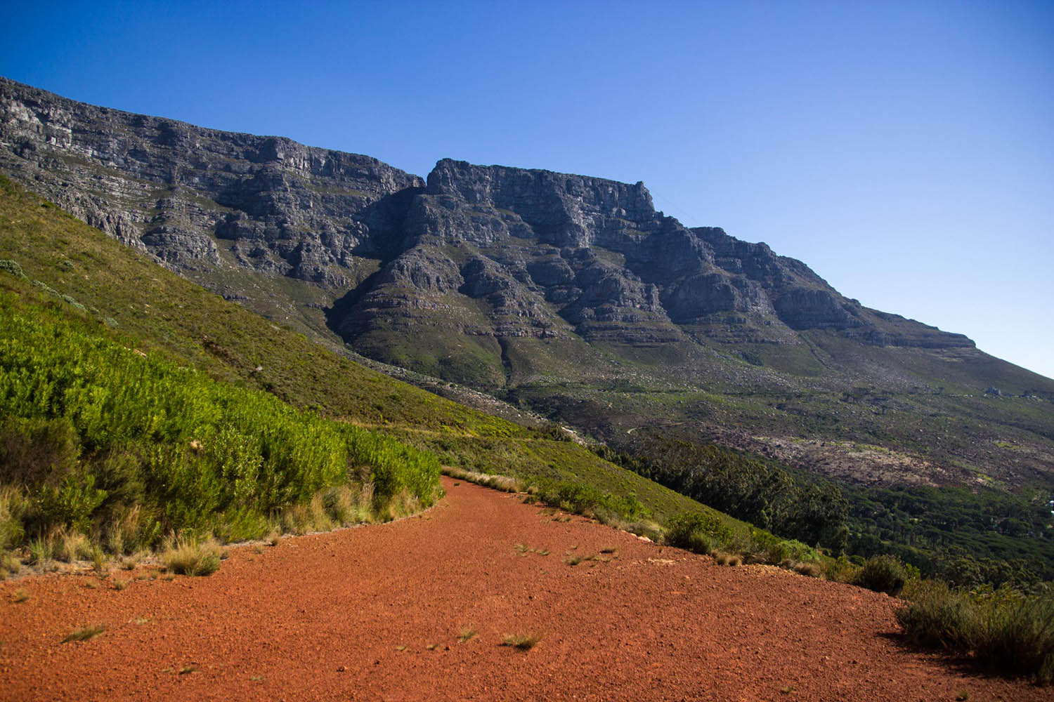 Mégafaune et écosystème du Cap, voyage naturaliste, Paysages, Table Mountain