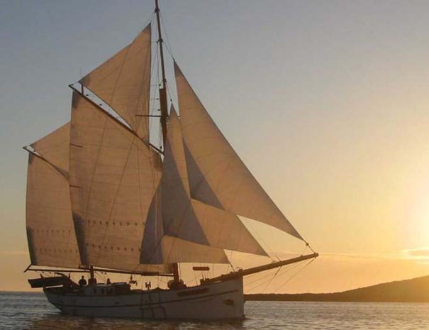 expédition nord ouest Svalbard - expédition partenaire - Goxsheim - Navire d'expédition