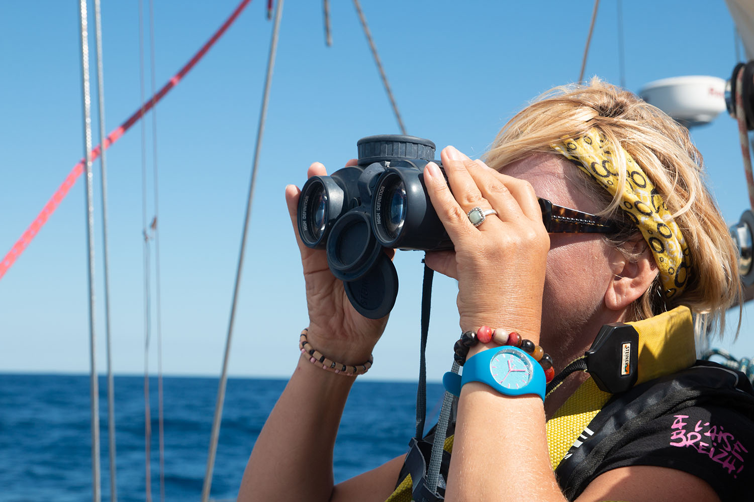 voyage scientifique cetaces de mediterranee 39