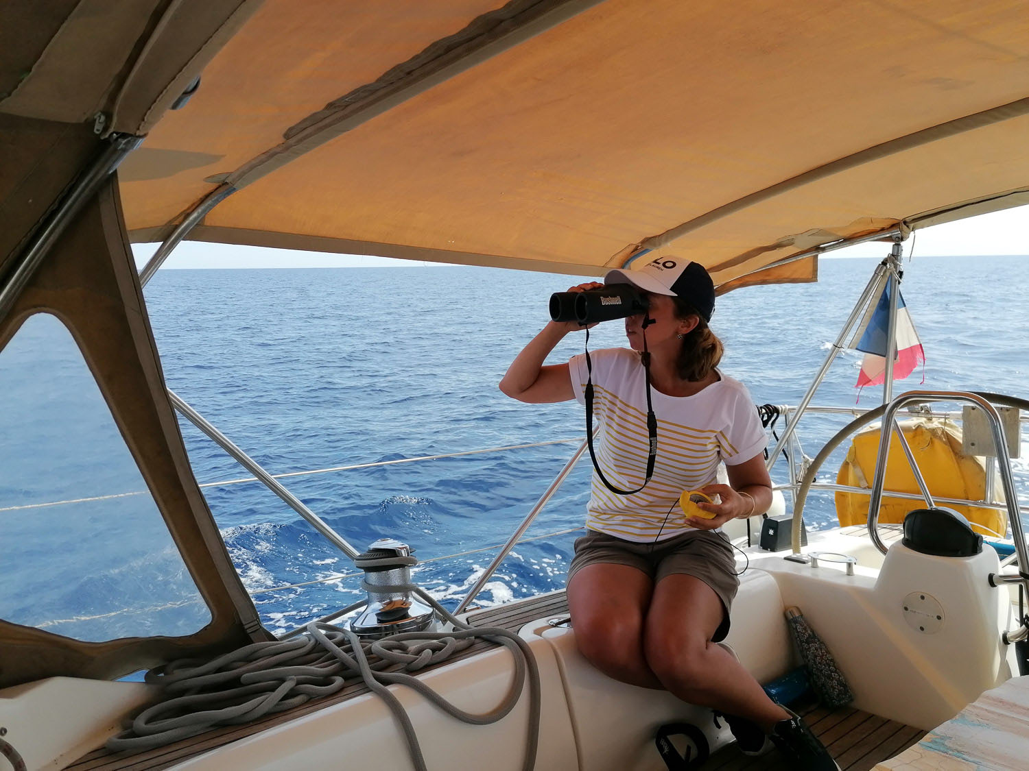 voyage scientifique - cetaces de mediterranee vers la corse a la voile 23
