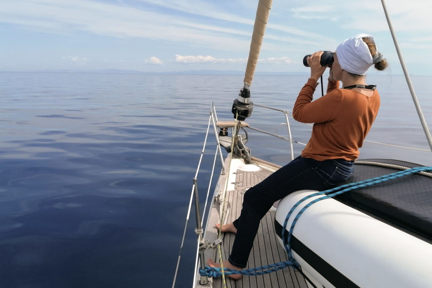 voyage scientifique - cetaces de mediterranee vers la corse a la voile 5