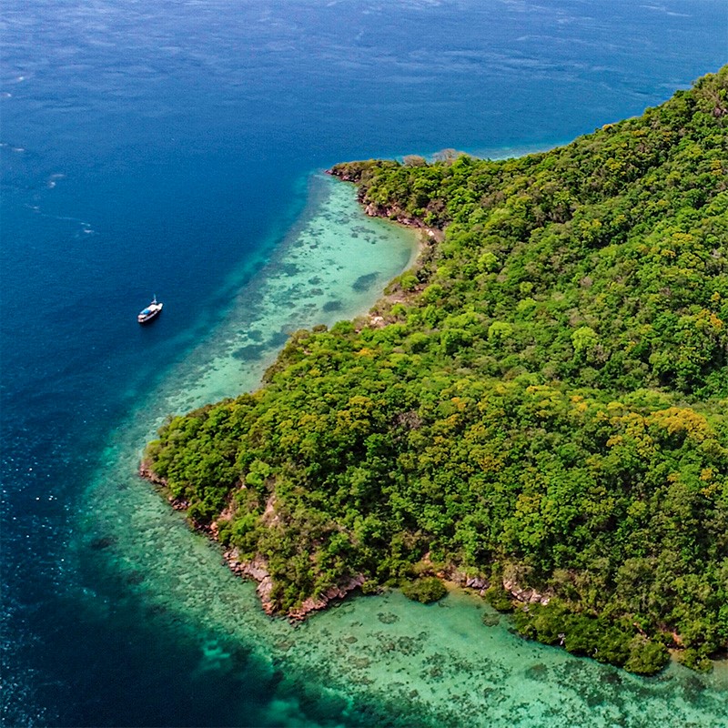 voyage scientifique sur les récifs coraliens et la biodiversité marine en Indonésie, sur les îles Komodo et Flores. Copyright Roberto Giudici.