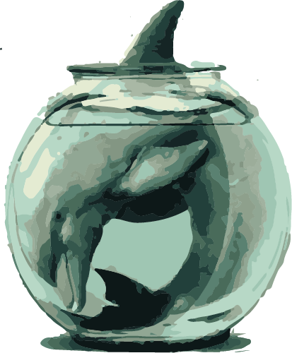 50% C’est la perte de l’espérance de vie des cétacés en delphinarium. Pour une orque, elle est divisée par 6 !