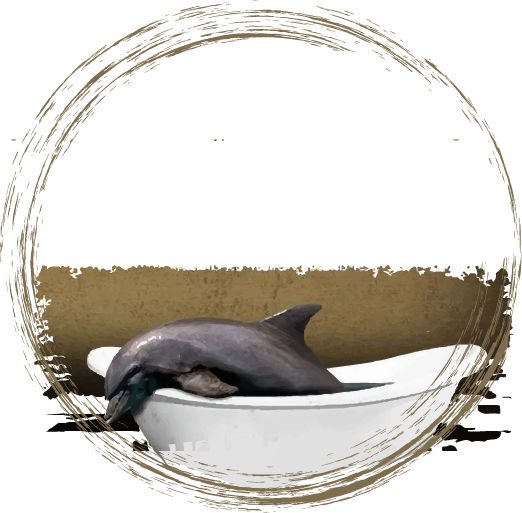 30% des dauphins succombent après 24 heures de captivité.