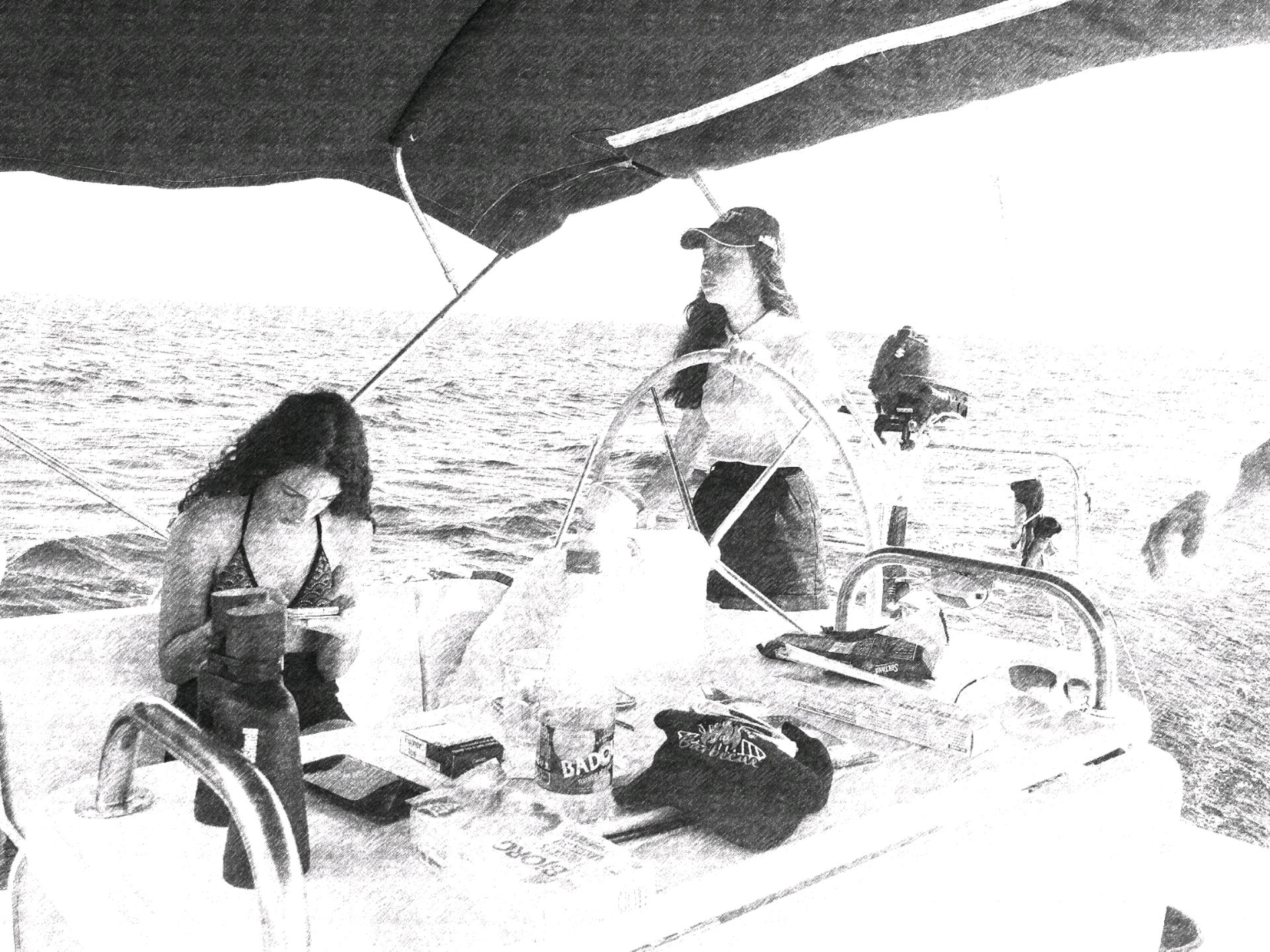 carnet de bord collaboratif - extrait du livre "les allumeuses de méduses" - voyage cétacés croisière cétacés