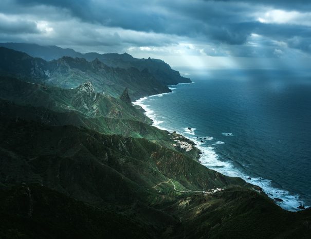 Anaga - voyage naturaliste - entre mer et ciel à Ténérife - Copyright Florian Legrand