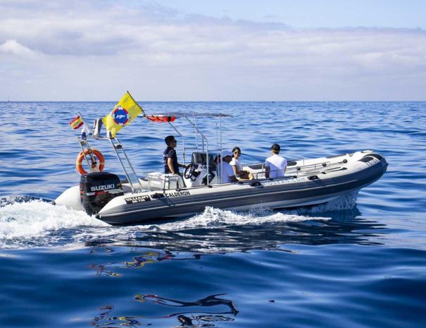 Bateau - Voyage naturaliste entre mer et ciel à Ténérife - Copyright Alexa Messuti