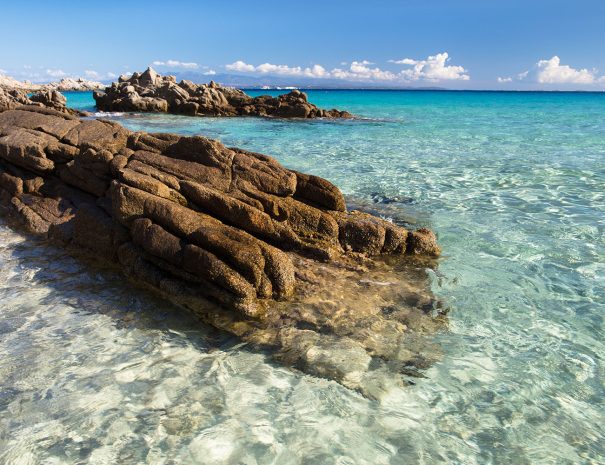 Archipel des Maddalena - Croisière scientifique à la voile - Corse et Sardaigne - à la recherche de la baleine à bec