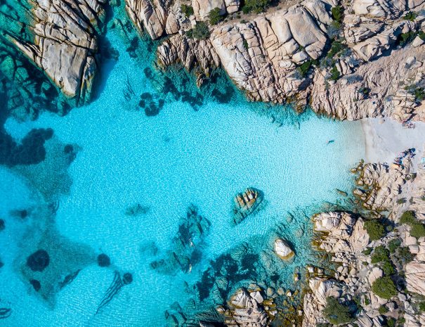 Archipel des Maddalena - Croisière scientifique à la voile - Corse et Sardaigne - à la recherche de la baleine à bec