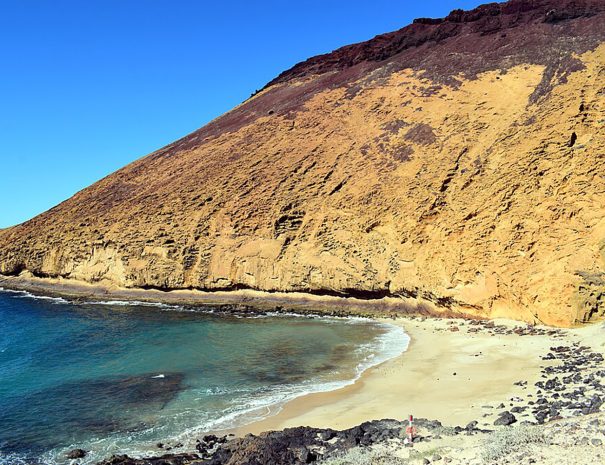 Montana amarilla - voyage naturaliste - entre mer et ciel à Ténérife