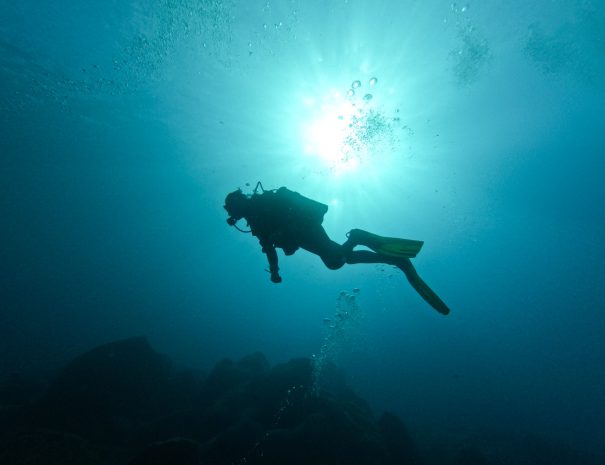 plongée - voyage naturaliste - entre mer et ciel à Ténérife - Copyright Florian Legrand