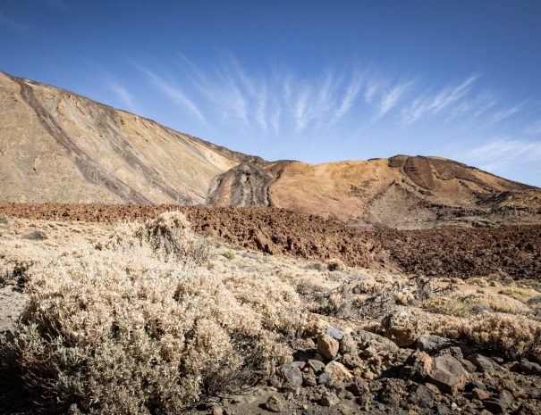 Volcan Teide - voyage naturaliste - entre mer et ciel à Ténérife - Copyright Florian Legrand