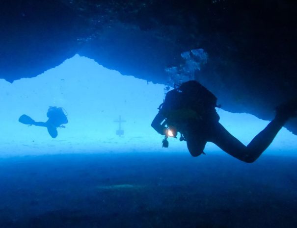 plongeurs - voyage naturaliste - entre mer et ciel à Ténérife - Copyright See you Diving