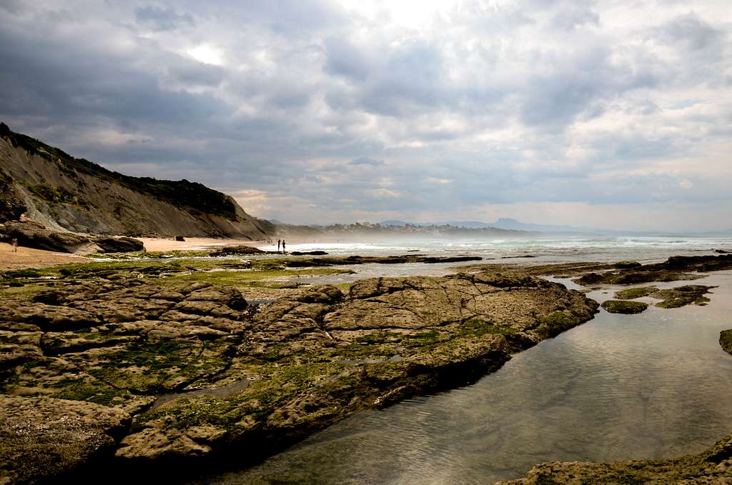 Séjour scientifique à Hendaye - Les ébats printaniers du Globicéphale noir - sentier des baleines, bidart-france