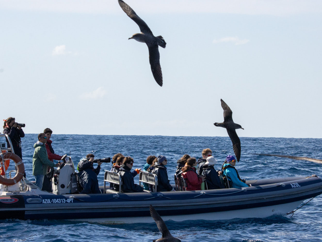 Voyages scolaires scientifiques et séjours éducatifs - activités pédagogiques en écologie marine avec sortie en mer pour collecter des données sur les cétacés