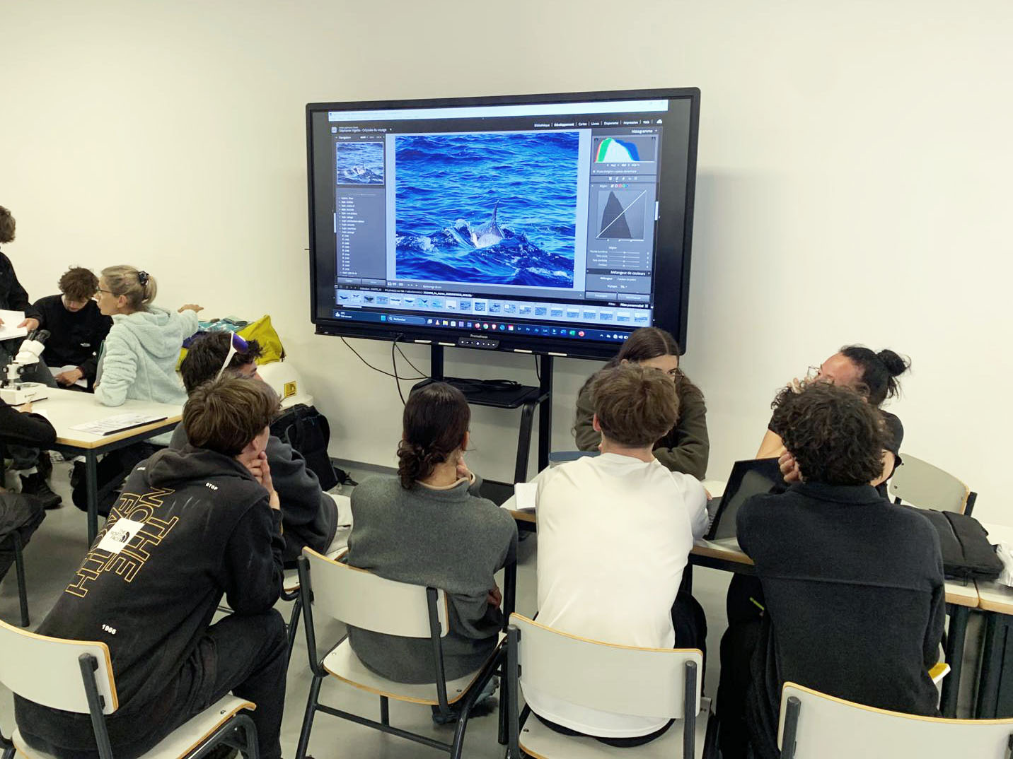 Voyages scolaires scientifiques et séjours éducatifs - activités pédagogiques en écologie marine avec tri des données collectées le matin, photo-ID, observation du plancton