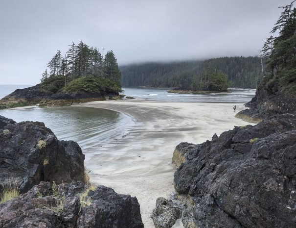 Plage San Josef Bay dans le Parc Provincial de Cape Scott - Copyright Steven Fines