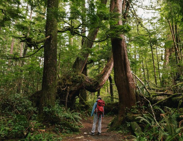 Femme en randonnée dans la nature sauvage du Parc Provincial de Cape Scott en Colombie Britannique ( Vancouver) - Copyright Jordan Dick