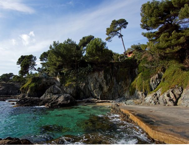 Sciences participatives pour l’étude de la biodiversité marine à Giens - presqu'île de Giens
