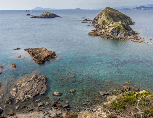Sciences participatives pour l’étude de la biodiversité marine à Giens - presqu'île de Giens
