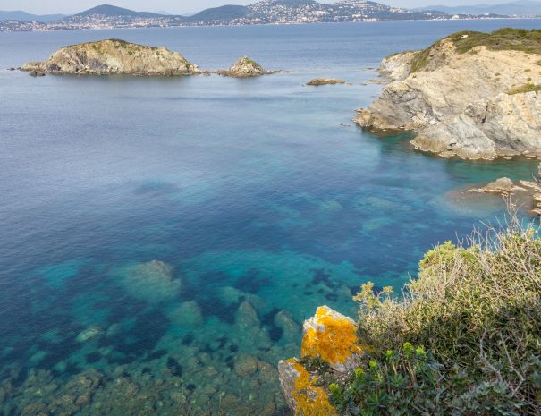 Sciences participatives pour l’étude de la biodiversité marine à Giens - presqu'île de Giens