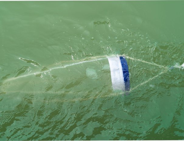 Sciences participatives pour l’étude de la biodiversité marine à Giens- filet à plancton