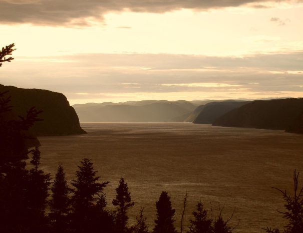 expédition scientifique - Tadoussac - Québec - fleuve 2