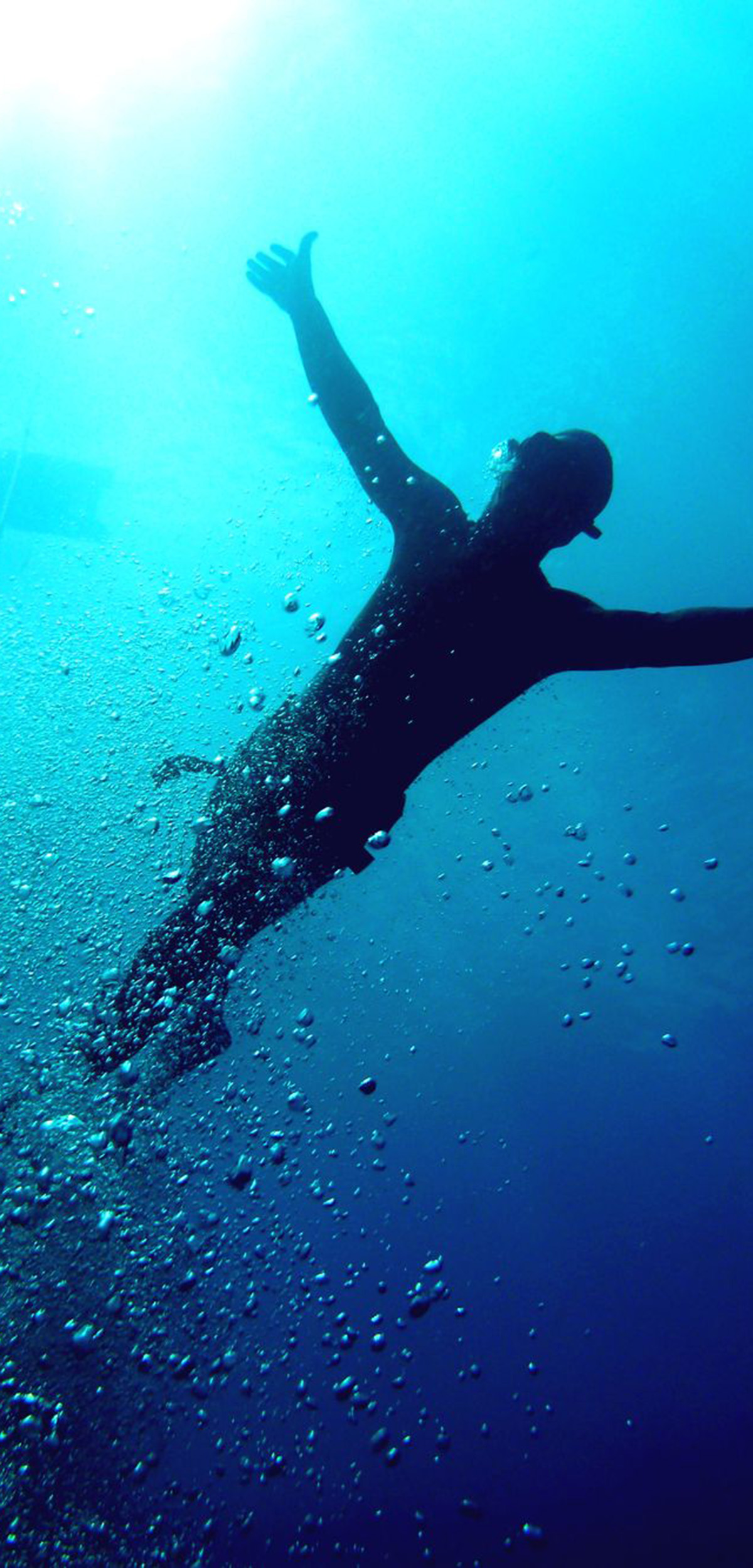 observer les cétacés en Guadeloupe - conditions d'observation - conditions de terrain