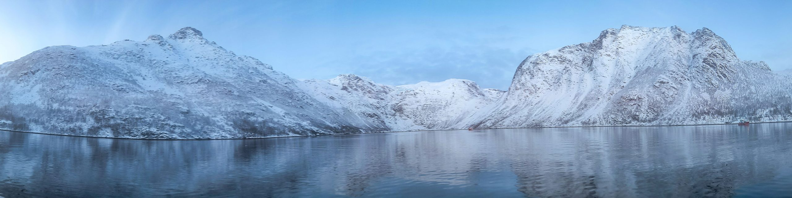 observer les cétacés en Norvèges arctique - les écosystèmes et la géographie des fjords