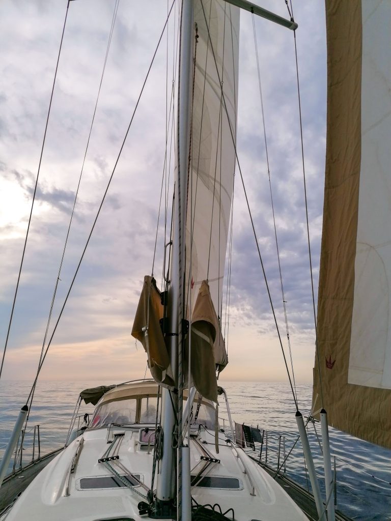 observer les cétacés en méditerranée - immersion en voilier