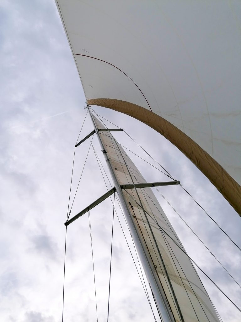 observer les cétacés en méditerranée - immersion en voilier