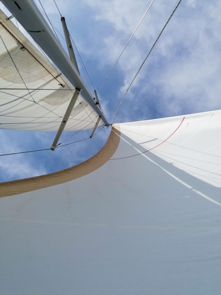 observer les cétacés en méditerranée - immersion en voilier