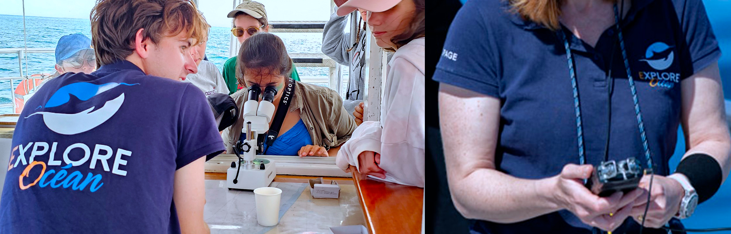 Observer les cétacés au Pays basque - approche scientifique et de terrain - Copyright Explore ocean