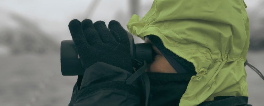 Observer les cétacés dans le monde - Comment observer et approcher les cétacés