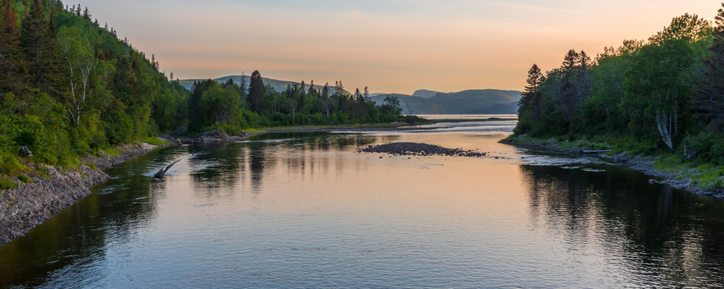 Saint Laurent - Observer les cétacés au Québec - Que vient on observer au Québec