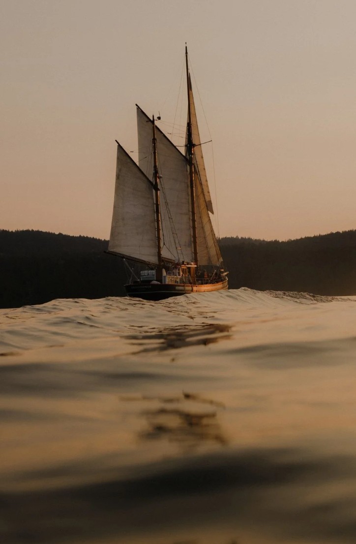 Voilier - Observer les cétacés en Colombie Britannique - Canada - conditions de terrain