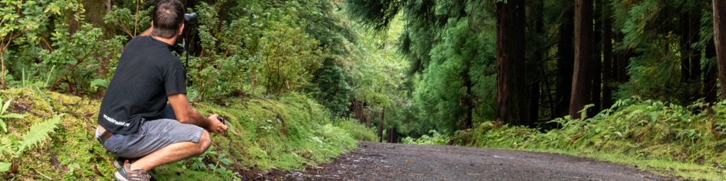 observer les cétacés aux Açores - observer les écosystèmes, cétacés, oiseaux, volcans