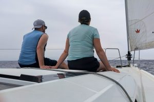 expéditions scientifiques 2026 - voyages pour étudier et observer les cétacés de Méditerranée