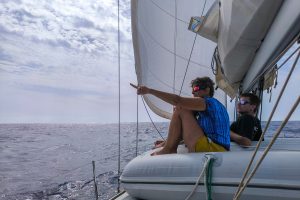 expéditions scientifiques 2026 - voyages pour étudier et observer les cétacés de Méditerranée