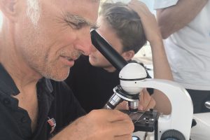 expéditions scientifiques 2026 - voyages pour étudier et observer les cétacés de Méditerranée