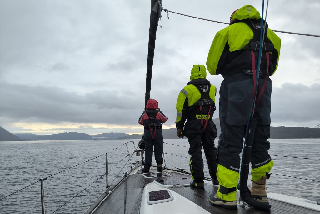 comment observer les cétacés - expéditions scientifiques wild seas explorer - depuis un voilier