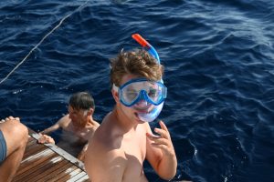 expéditions scientifiques 2026 - voyages pour étudier et observer les cétacés de Méditerranée