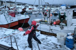 expéditions scientifiques 2024 - voyages pour étudier et observer les cétacés de Norvège