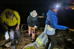 expéditions scientifiques 2024 - voyages pour étudier et observer les cétacés de Norvège