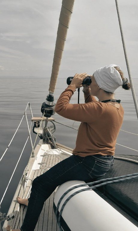 Voyage scientifique - les cétacés de Méditerranée à la voile