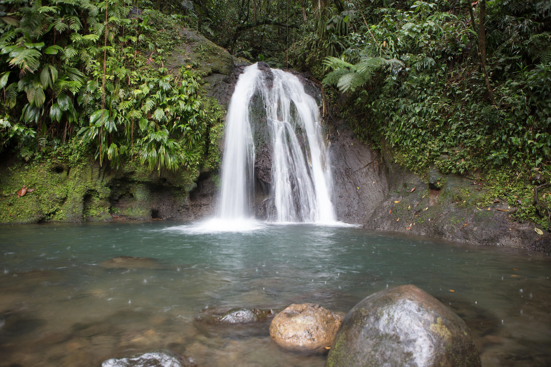 Voyage scientifique en Guadeloupe - Cétacés, faune marine et écosystèmes de Guadeloupe - Cascade