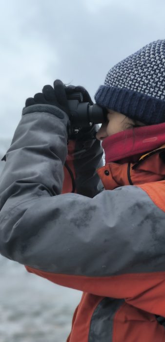 démarche scientifique - croisière scientifique à la voile - Observer et étudier les orques et les baleines à bosse de Norvège - Observateur