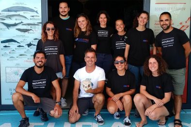 équipe naturalist - Voyage naturaliste à Faial et Pico - Cétacés, oiseaux marins et volcans -observer les cétacés aux Açores - îles de Pico et Faial